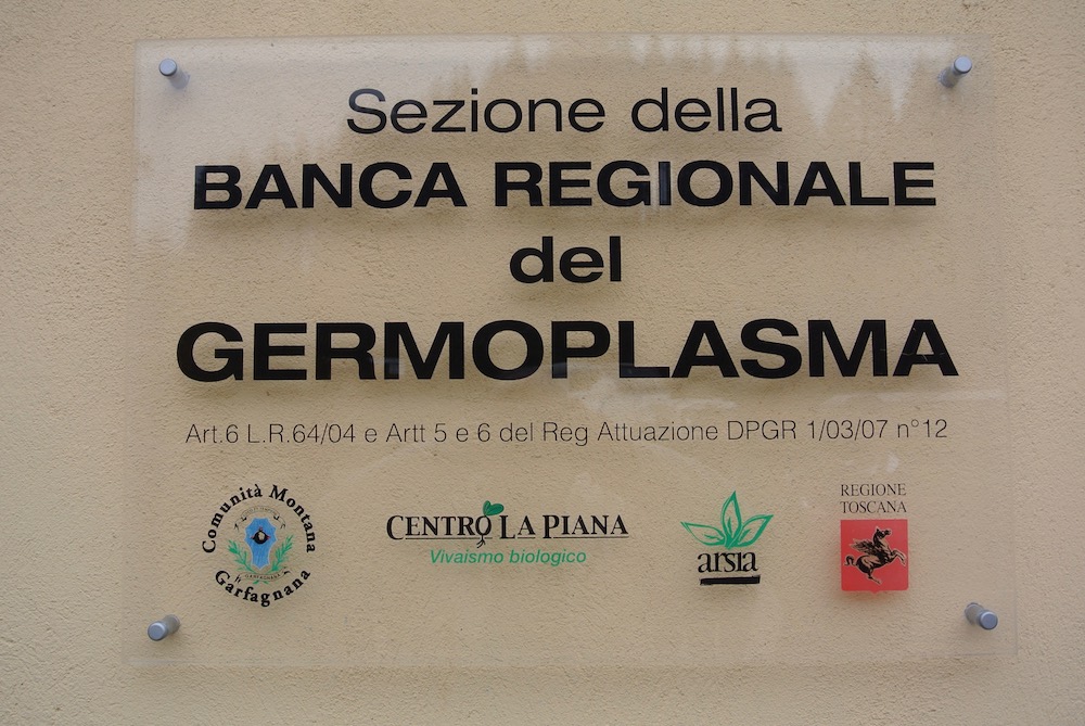 Banca Regionale del Germoplasma