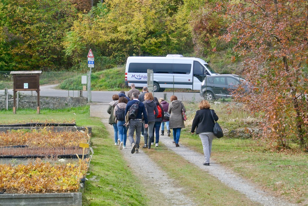 Ritorno al minibus