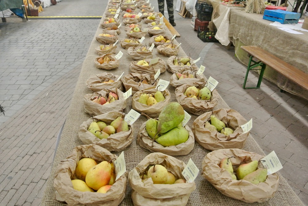 In mostra alla rassegna Garfagnana terra Unica - La Biodiversità