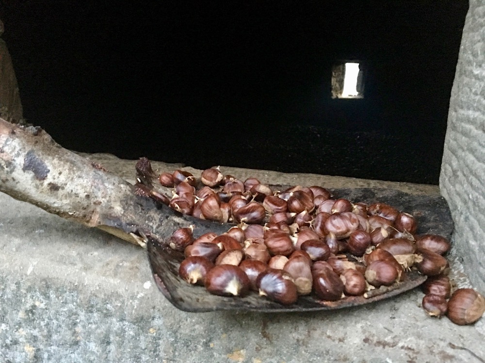 Le castagne nel metato