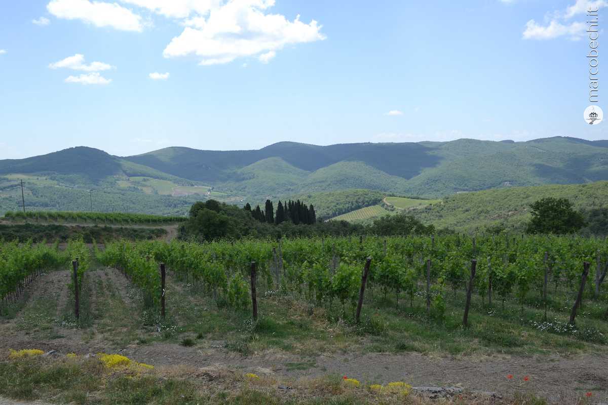 Il Borgo di Castelvecchi visto dalle vigna