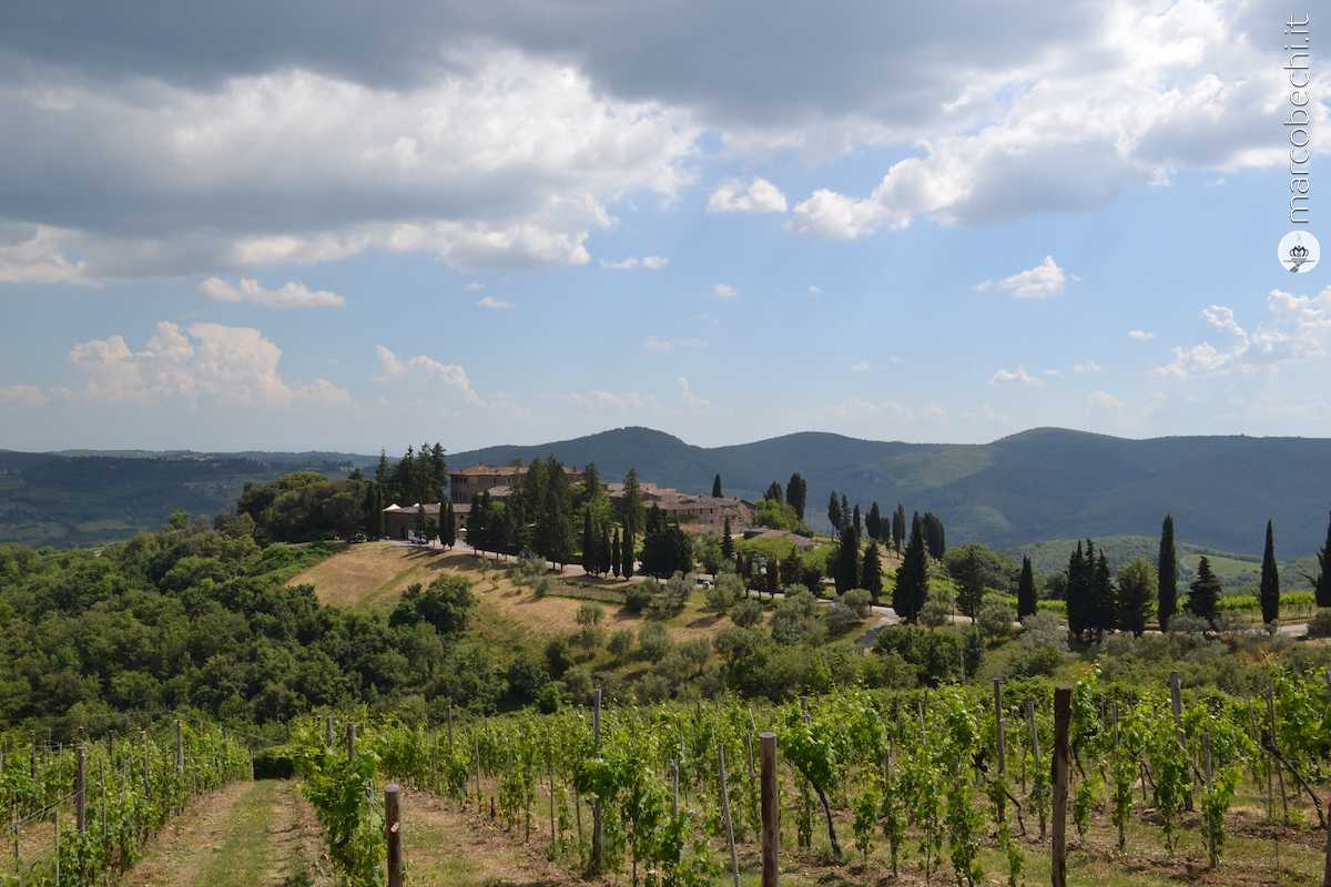 Il Borgo di Castelvecchi visto dalle vigna