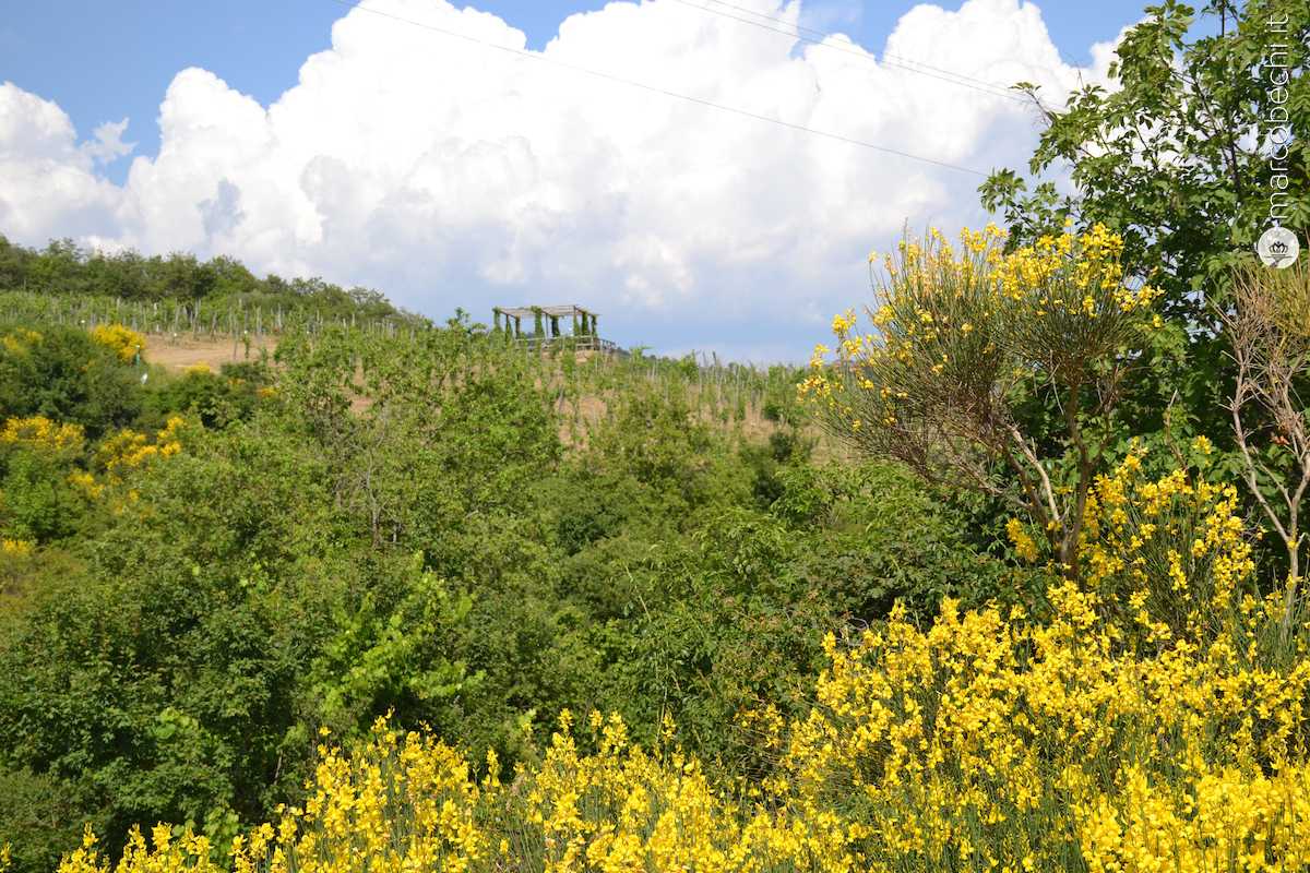 L'allestimento in vigna a Castelvecchi per il picnic in natura