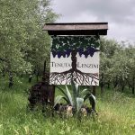 Cantine in Toscana – Capannori (LU) – Tenuta Lenzini