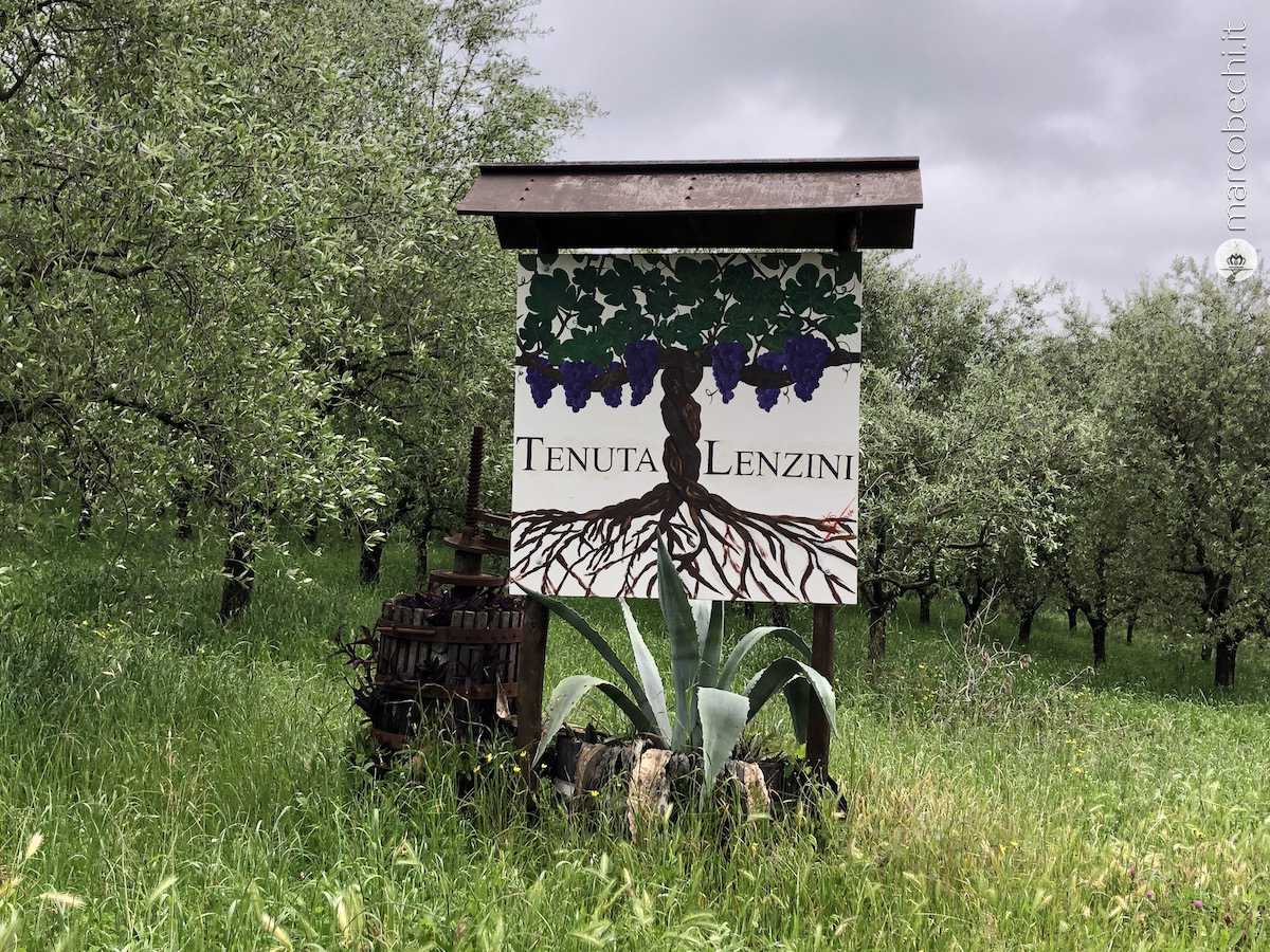 Cantine in Toscana – Capannori (LU) – Tenuta Lenzini