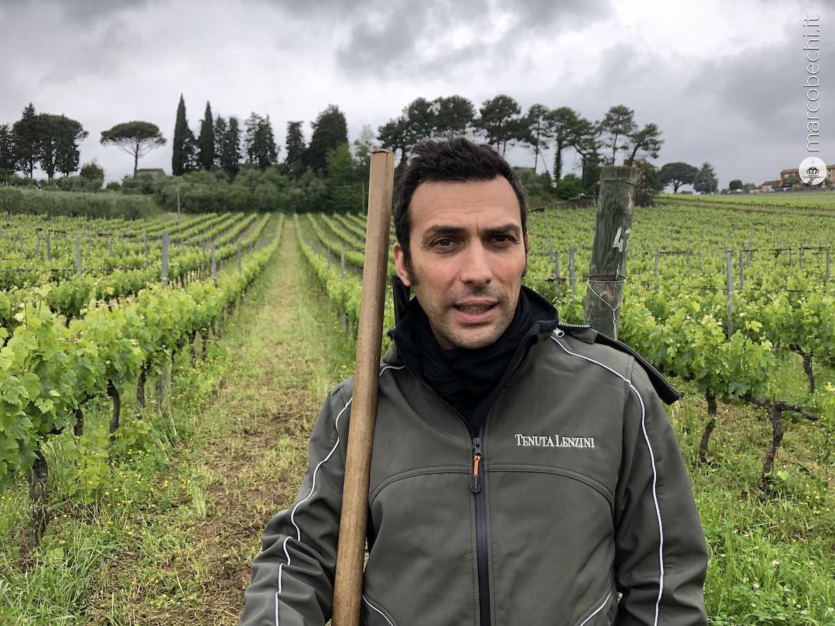 Michele Guarino nella sua vigna di Tenuta Lenzini