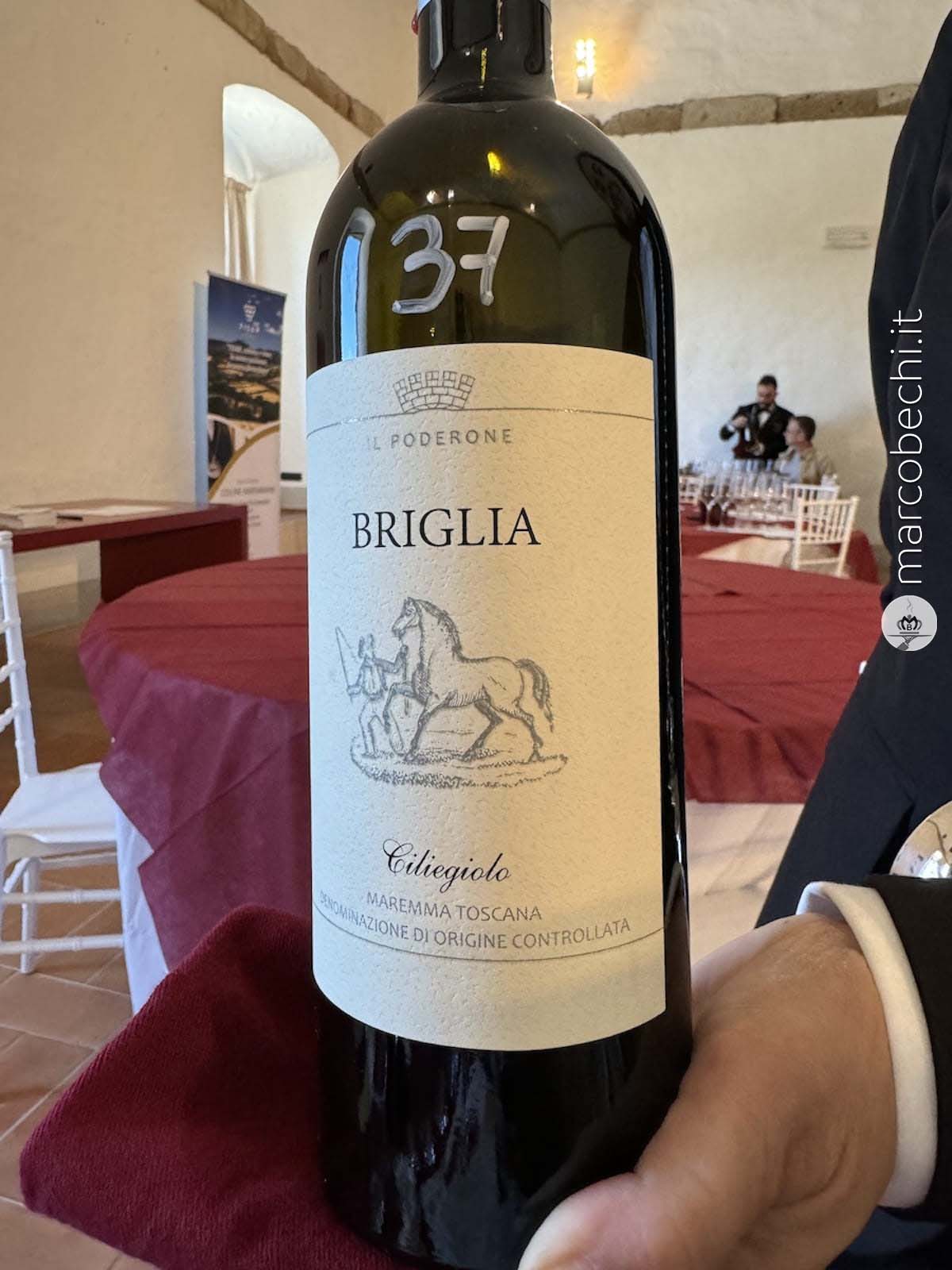 Briglia - Maremma Toscana Doc Ciliegiolo - Terre dell'Etruria - 2022