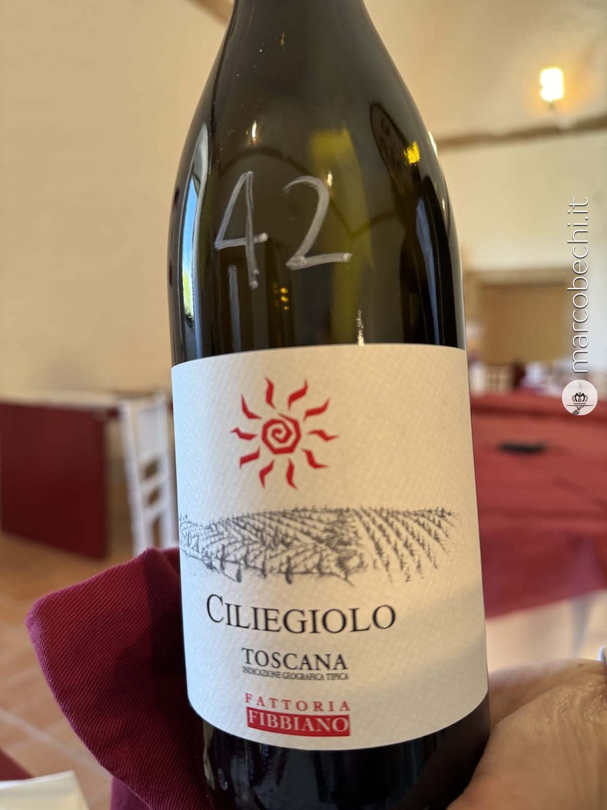 Toscana Igt Ciliegiolo - Fattoria Fibbiano - 2020