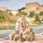 Tartufo delle Crete