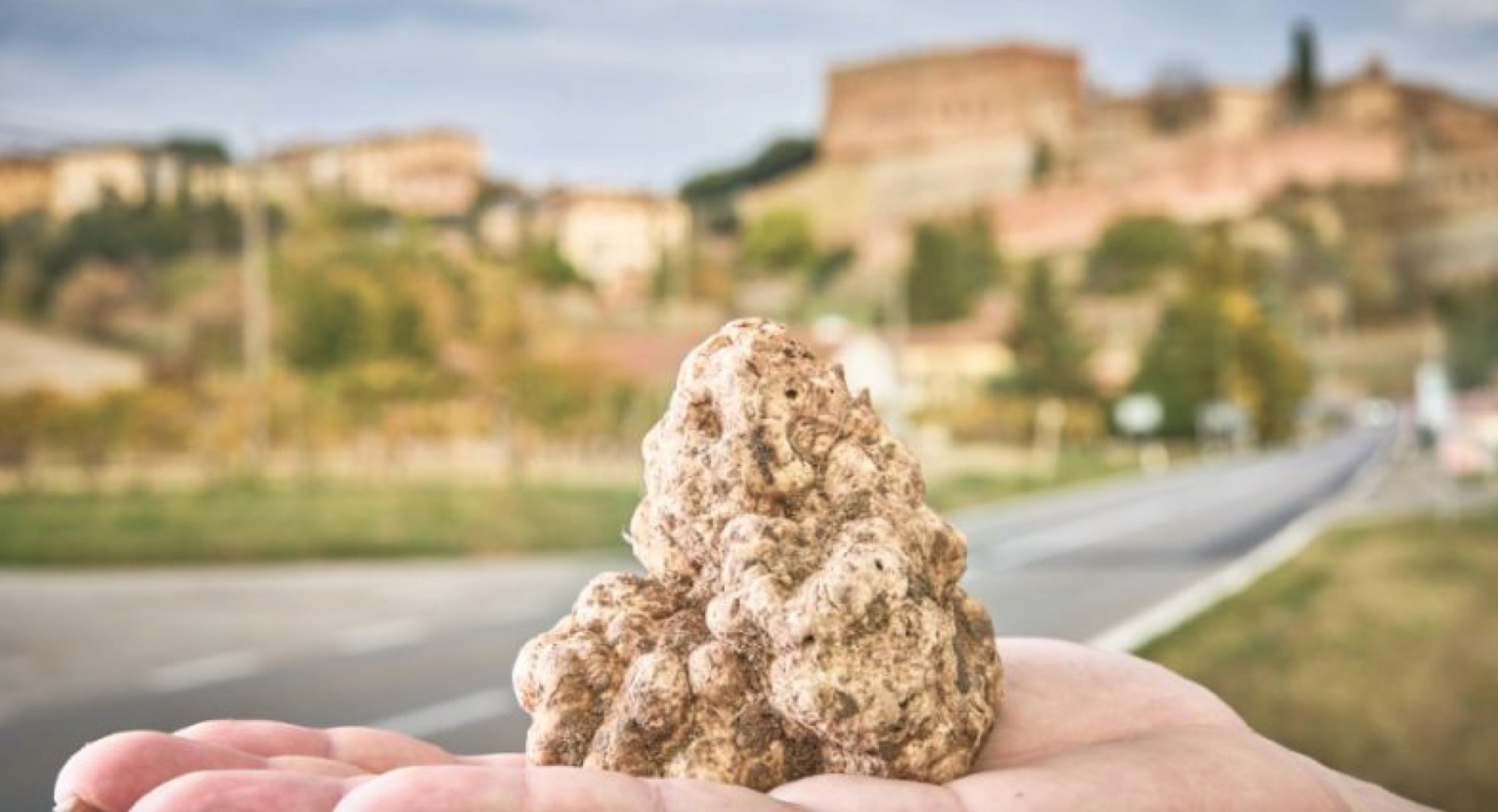 Tartufo delle Crete